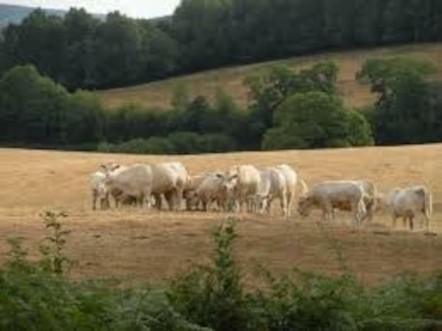 La Ferme Des Pierrettes Vila Menneville Exterior foto