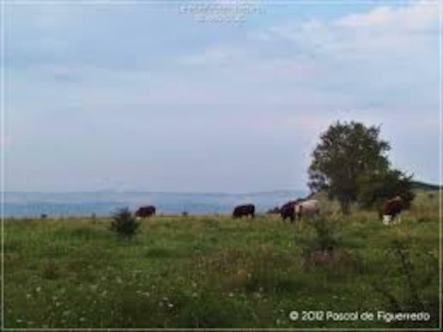 La Ferme Des Pierrettes Vila Menneville Exterior foto